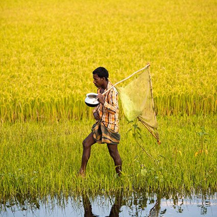 Agriculture & Biodiversity